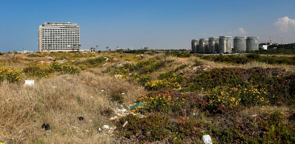 מחירי הקרקעות נפלו ב-2023 אך עלו שוב במהלך המלחמה / צילום: שלומי יוסף