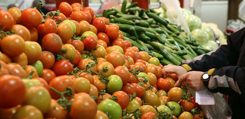 עגבניות / צילום: עינת לברון