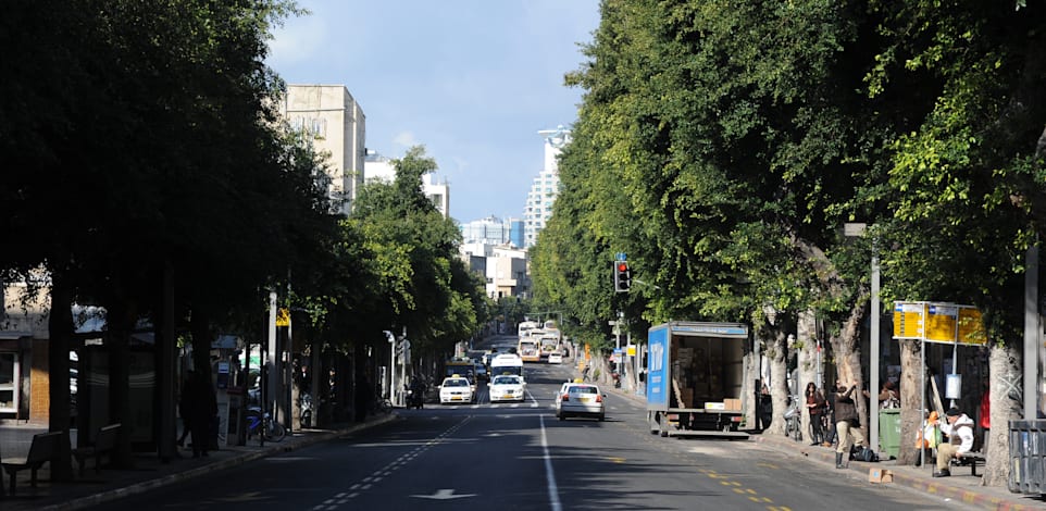 נתיב תחבורה ציבורית ברחוב אלנבי, בתל אביב / צילום: איל יצהר