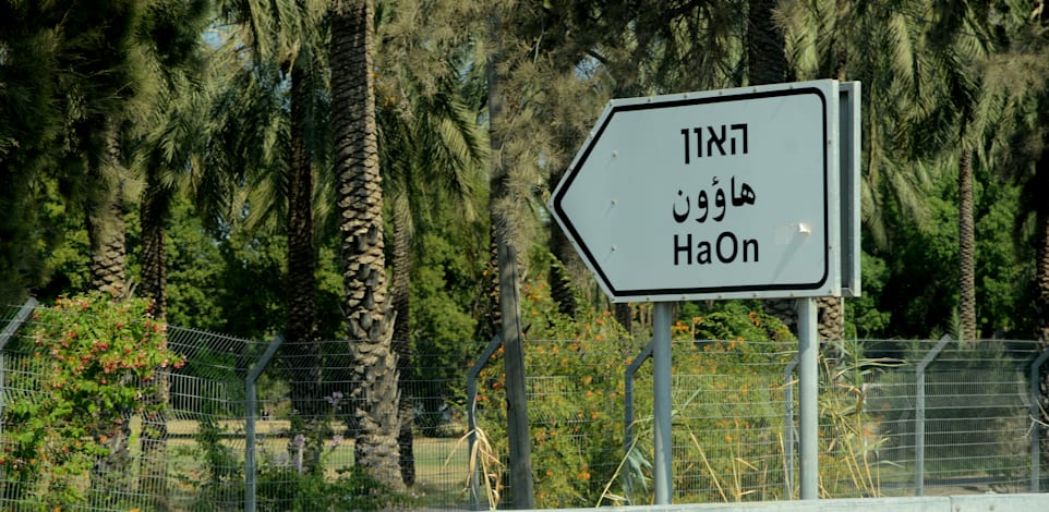 קיבוץ האון ליד הכנרת / צילום: איל יצהר