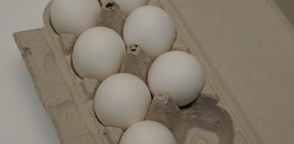 תבנית ביצים / צילום: איל יצהר