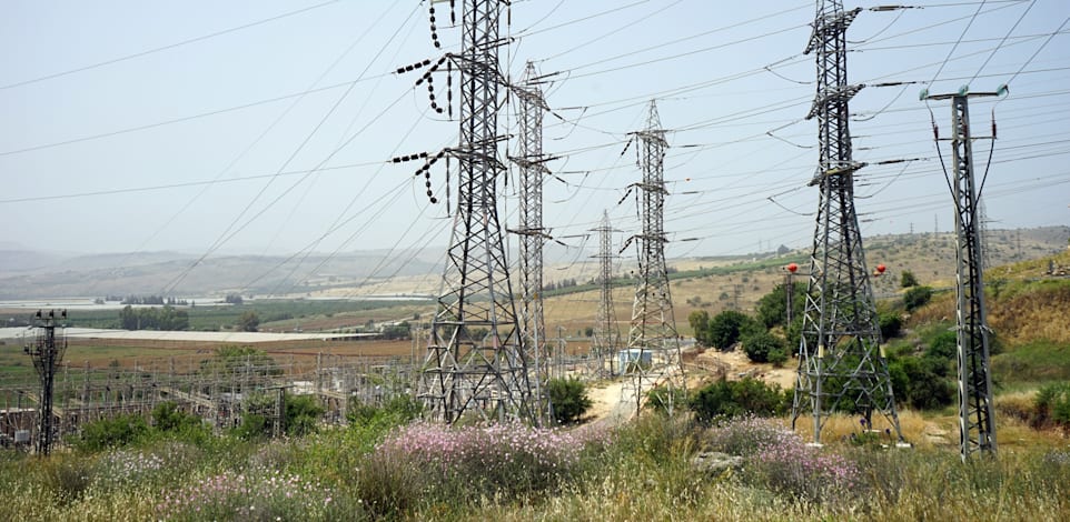 עמודי חשמל בישראל / צילום: Shutterstock
