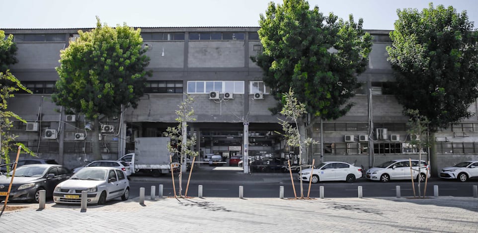 רחוב התחייה, תל אביב / צילום: כדיה לוי