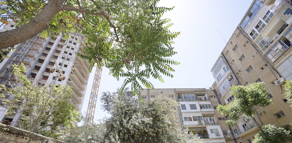 איזה ראש עיר נדרש להתפטר לאחר שנצפה אוכל במסעדה בט' באב? / צילום: יוסי זמיר