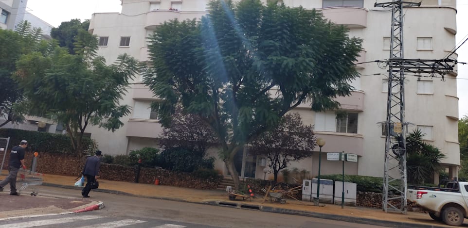 רחוב בן גוריון, כפר סבא / צילום: איל יצהר