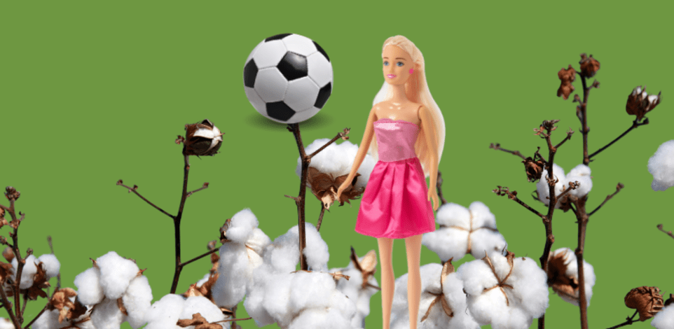 הטריוויה השבועית / צילום: Shutterstock