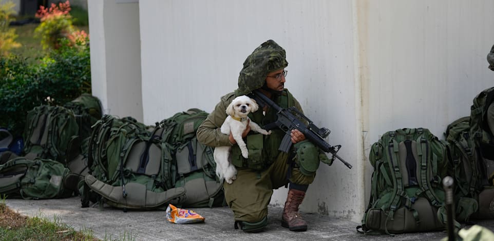 חייל עם כלב שהציל בכפר עזה, ביום שבת / צילום: Associated Press, Ohad Zwigenberg