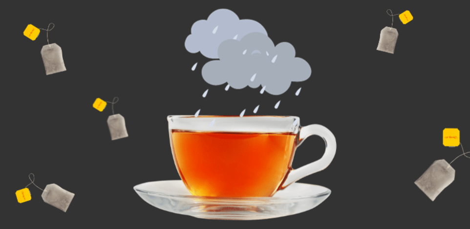 הטריוויה השבועית / צילום: Shutterstock