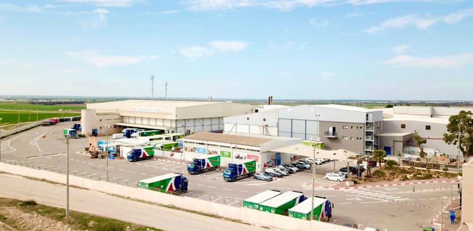 צילום: רפי דלויה