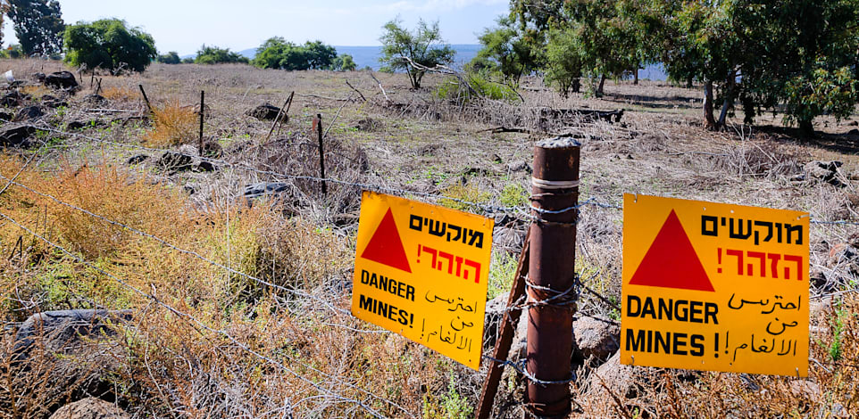 שדה מוקשים / צילום: Shutterstock