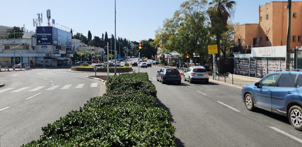 שדרות מוריה בחיפה, השבוע / צילום: תמיר בן שחר