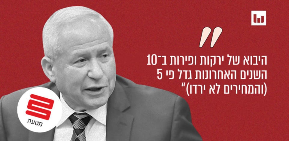 אבי דיכטר, הליכוד (המנגנון, כאן 11, 20.8.24) / צילום: רפי קוץ