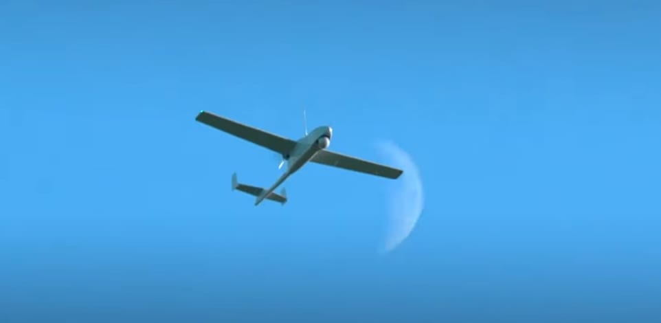 הכטב''ם ''גראנט E-4'' / צילום: צילום מסך מתוך יוטיוב