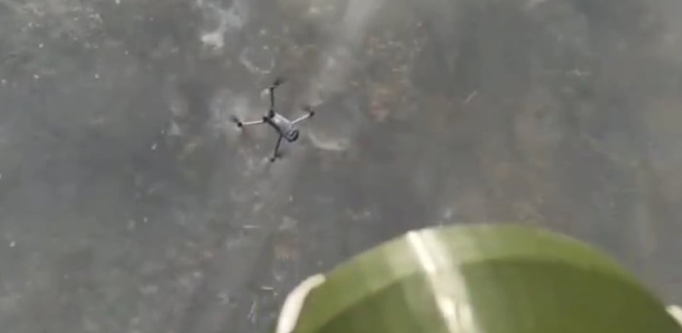 המערכת של חברת ''פטאשקה'' האוקראינית לוכדת רחפן רוסי / צילום: מתוך טוויטר