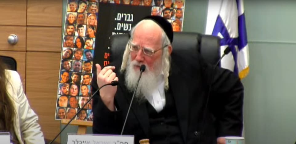 ח''כ ישראל אייכלר בוועדת העבודה והרווחה, היום / צילום: אתר הכנסת