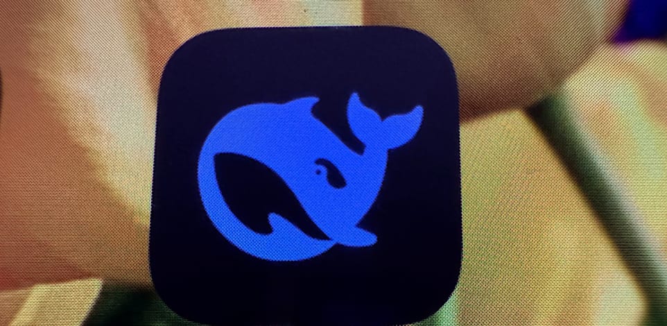 אפליקציית DeepSeek / צילום: ap, Jon Elswick