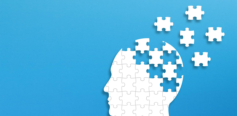 ידיעת שפות מגינה מפני התדרדרות קוגניטיבית במוח / צילום: Shutterstock, ahmetmapush