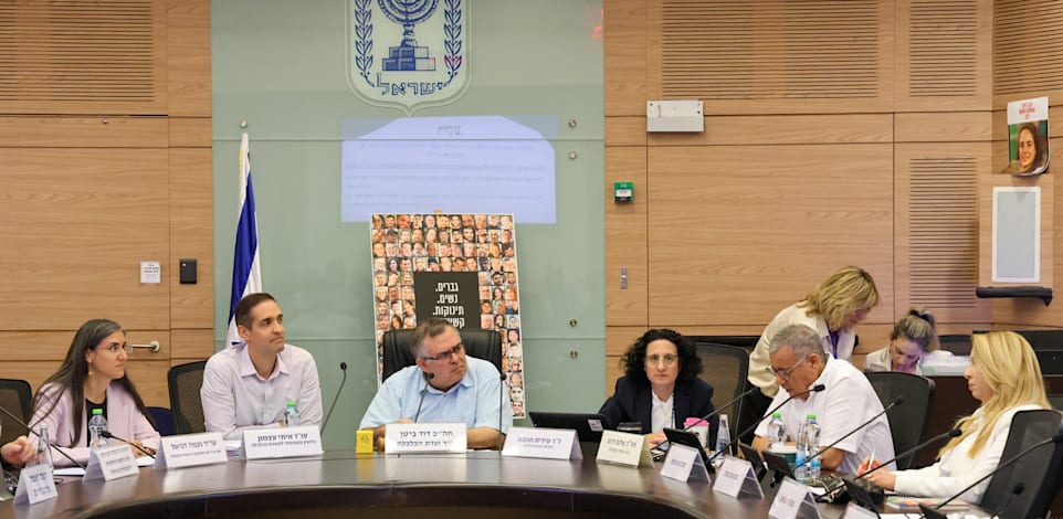 דיון בנושא נתוני צפייה בוועדת הכלכלה, היום / צילום: דני שם-טוב, דוברות הכנסת