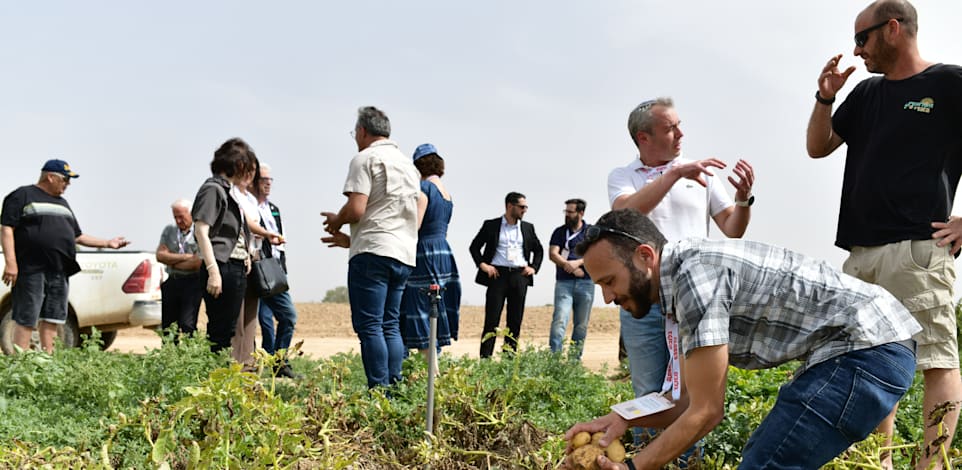 סיור בהובלת עובדי שטראוס ובליווי חקלאים, עובדים, מנהלים ותושבי האזור, מתפוח האדמה שבשדה, ודרך כל שלבי הייצור של מפעל התפוצ'יפס של שטראוס בשער הנגב / צילום: יוסי כהן