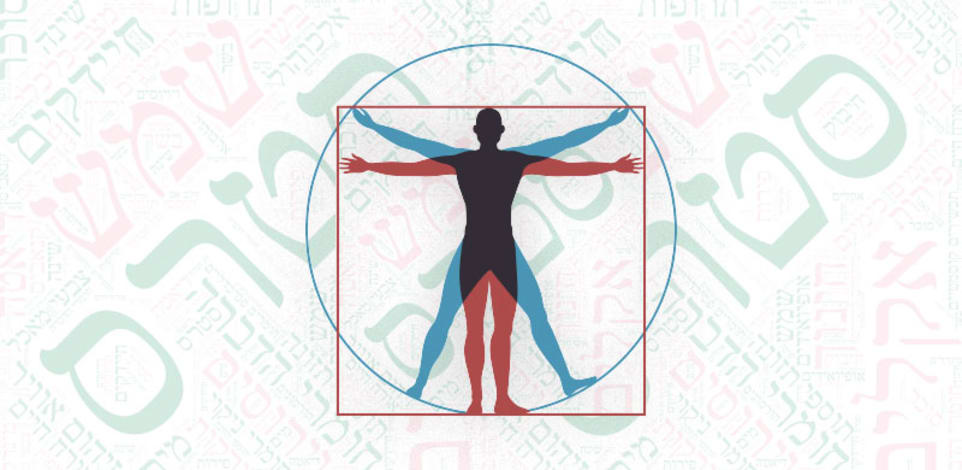 חזית המדע. מיפוי האקספוזום / צילום: Shutterstock