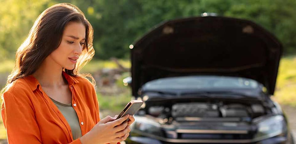 צילום: Shutterstock