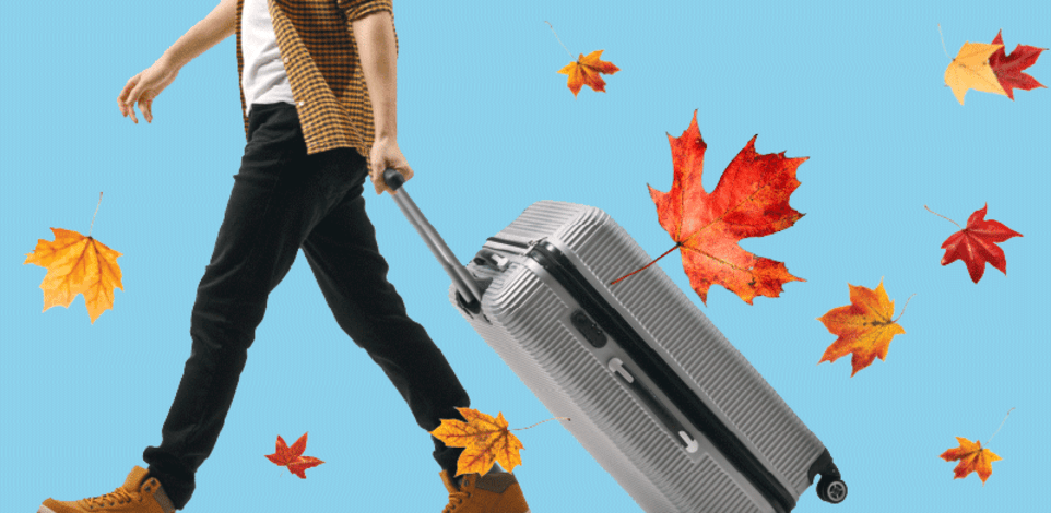 השיבה מקנדה