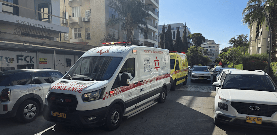 אמבולנסים בזירת התאונה / צילום: מד''א