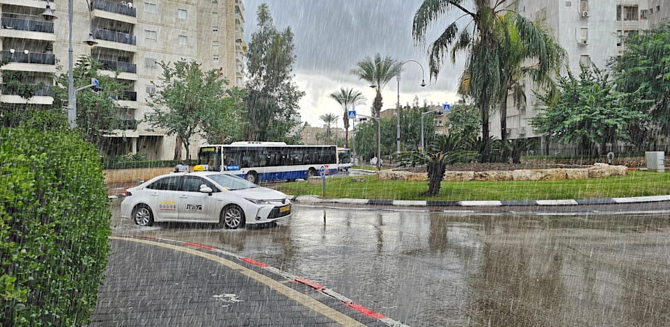 ארכיון / צילום: Shutterstock