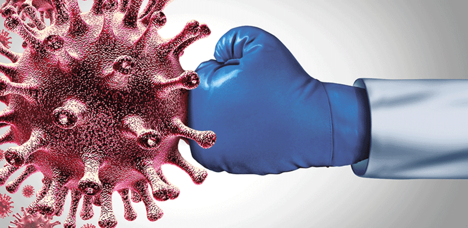 מערכת החיסון נלחמת חזרה / צילום: Shutterstock