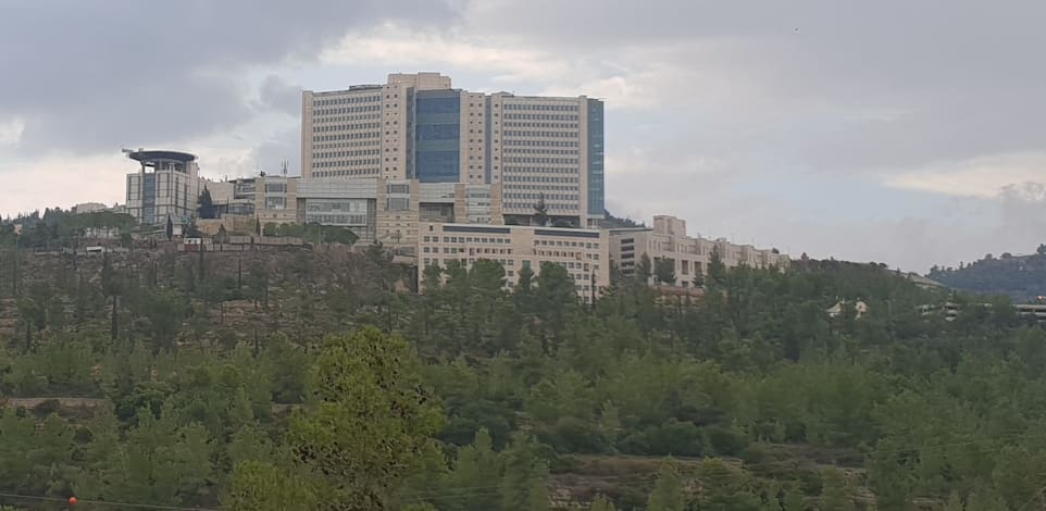 בית החולים הדסה / צילום: אביבה גנצר