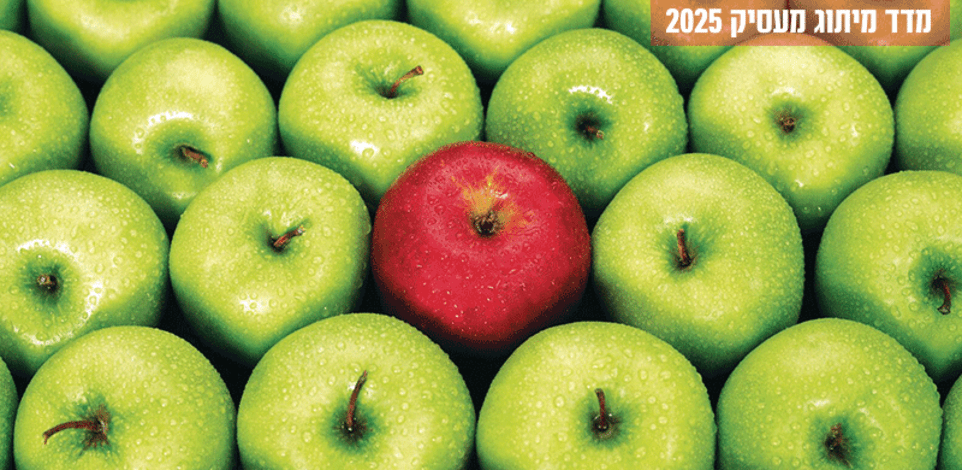 מדד מיתוג מעסיק / צילום: Shutterstock