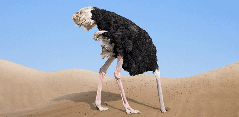 בחזית המדע. FOFO / צילום: Shutterstock