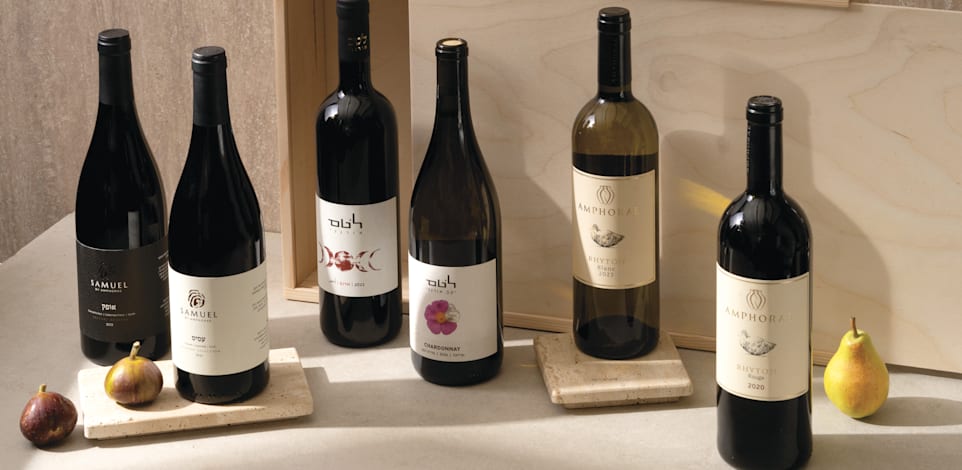 יינות קבוצת אמפורה / צילום: אנטולי מיכאלו