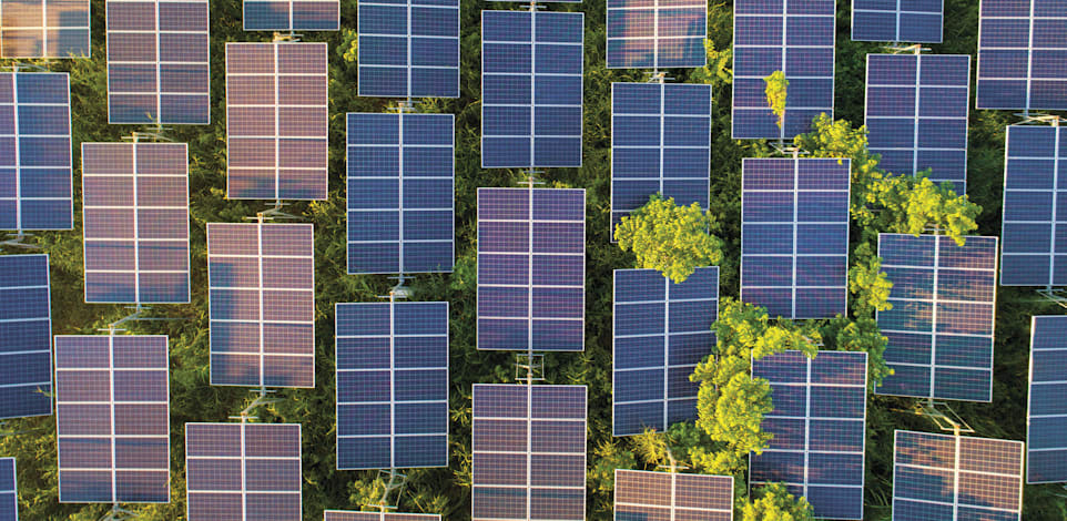 מתקני סולאר / צילום: Shutterstock