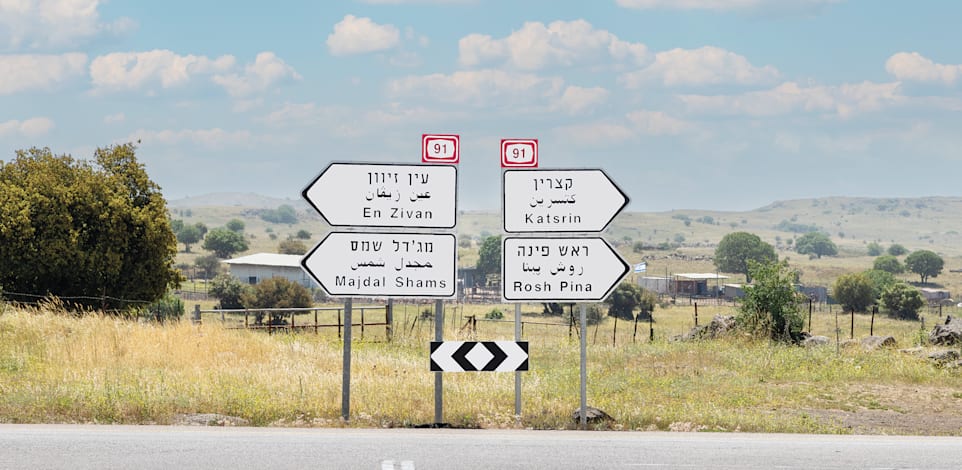 כביש מס' 91 ברמת הגולן / צילום: Shutterstock