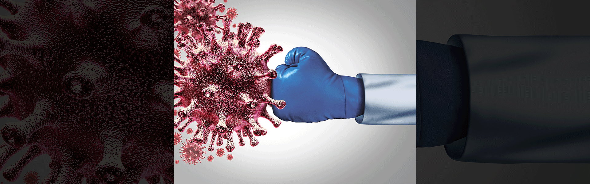 מערכת החיסון נלחמת חזרה / צילום: Shutterstock