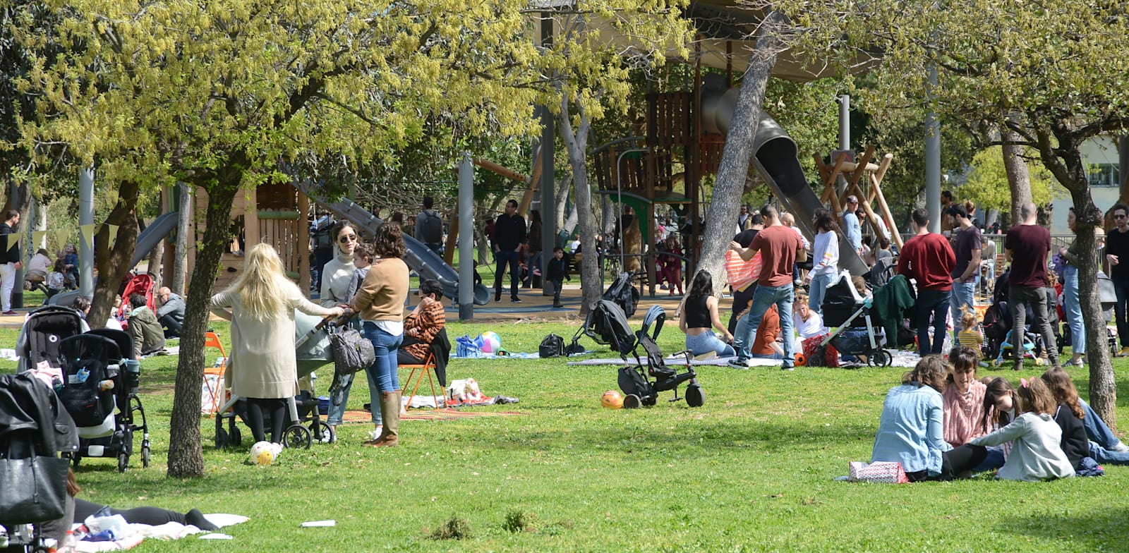 מה קרה למינוס של המשפחה הישראלית / צילום: איל יצהר