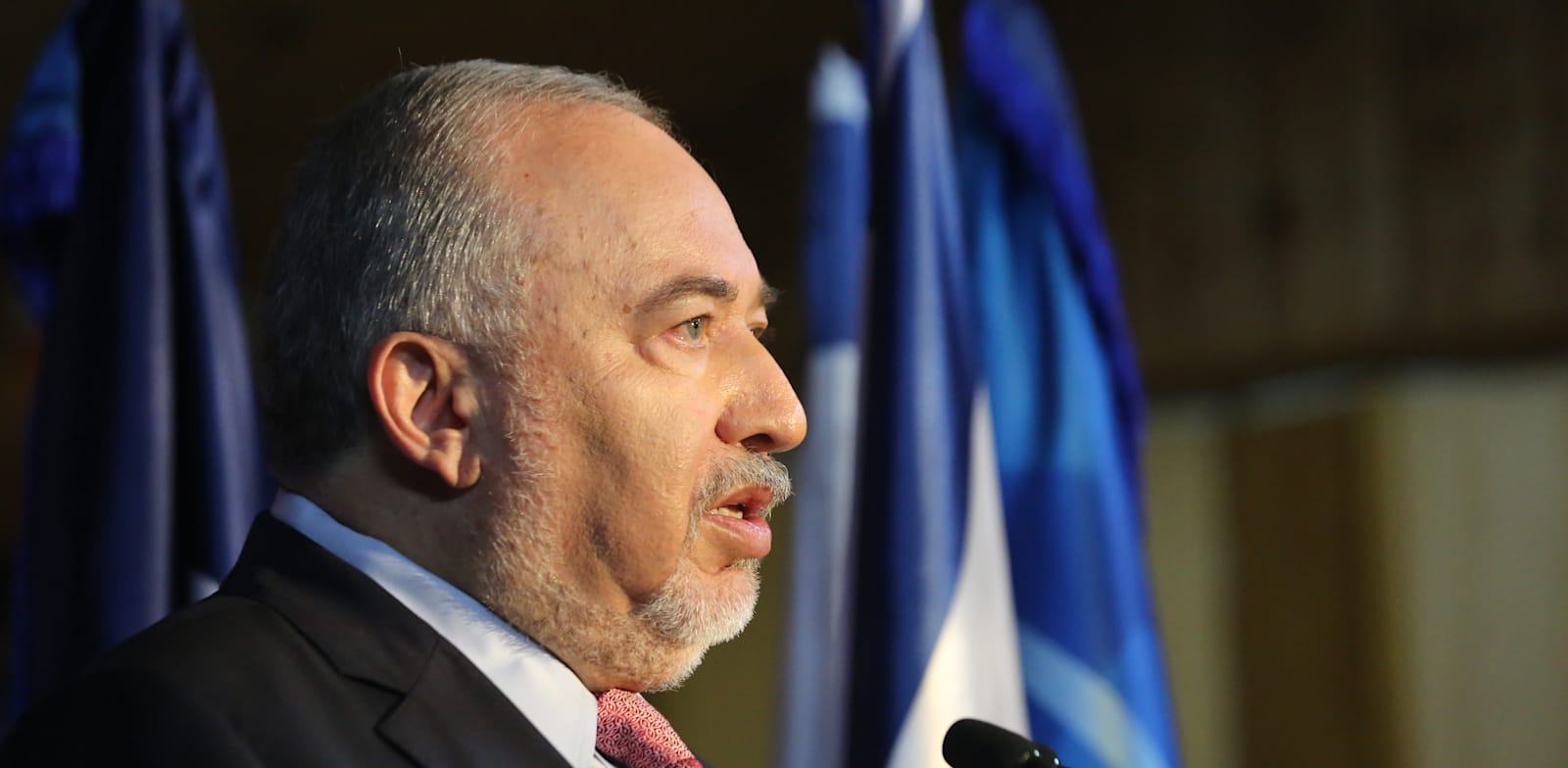 אביגדור ליברמן / צילום: יוסי זמיר