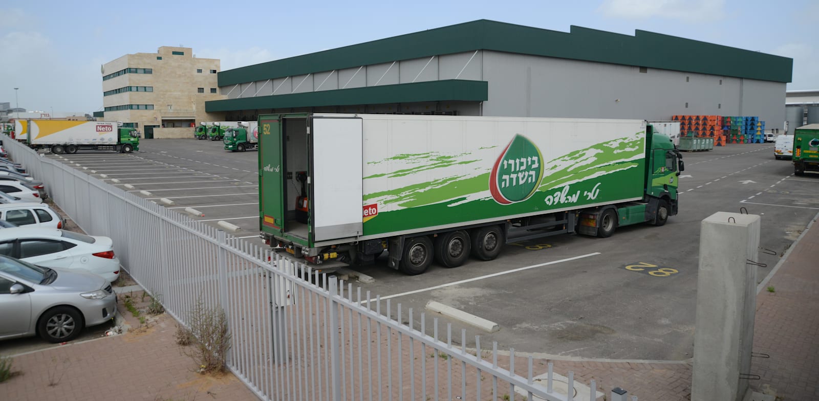 ביכורי השדה - קרית מלאכי - תימורים / צילום: איל יצהר