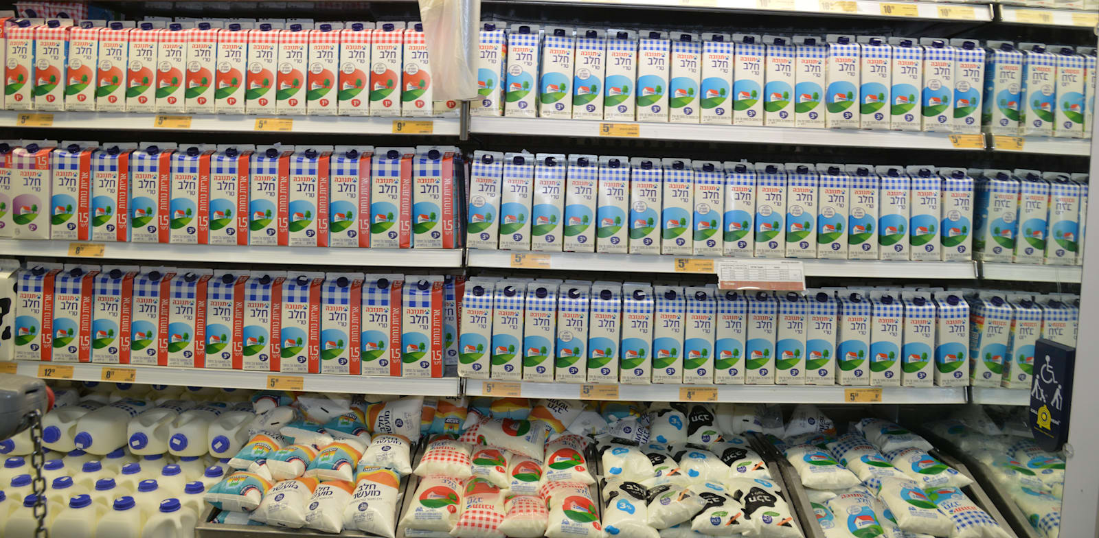 מדפי חלב בסופרמרקט / צילום: תמר מצפי
