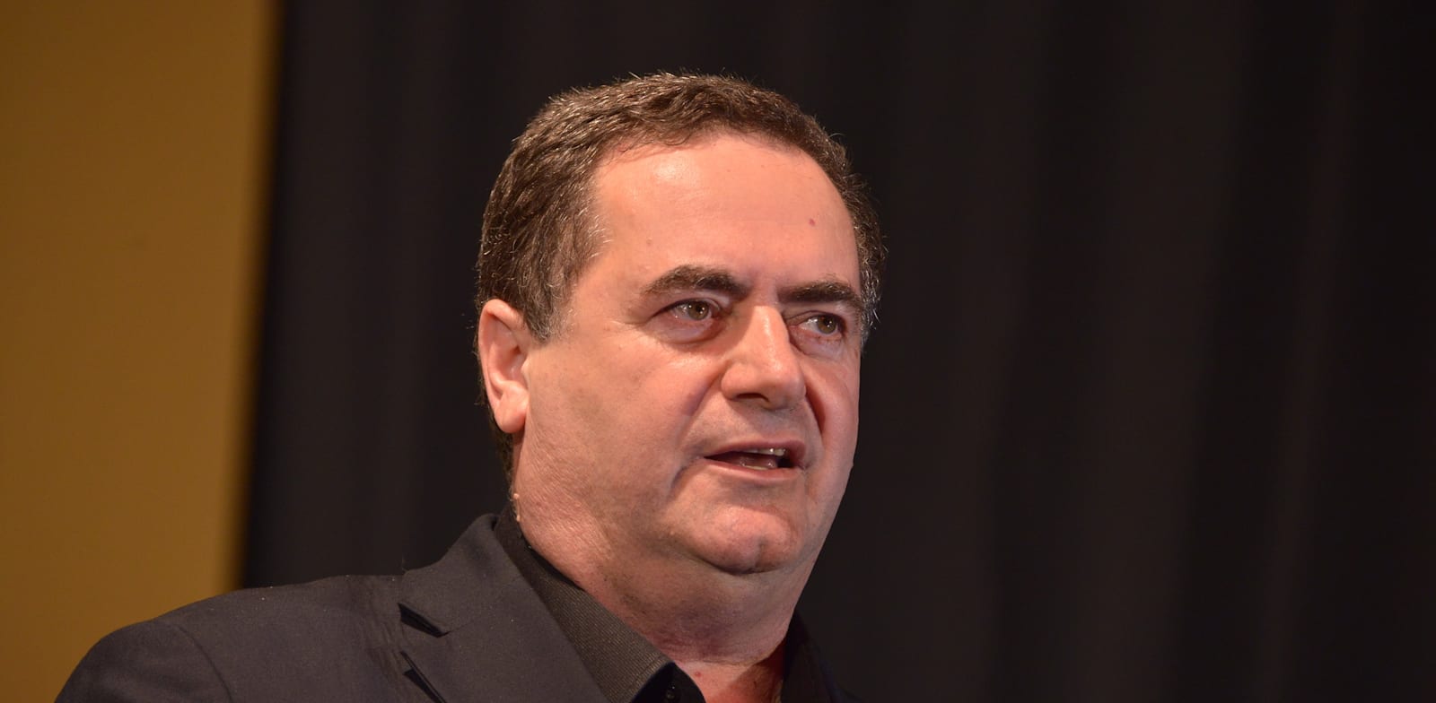 שר האוצר ישראל כ"ץ / צילום: תמר מצפי