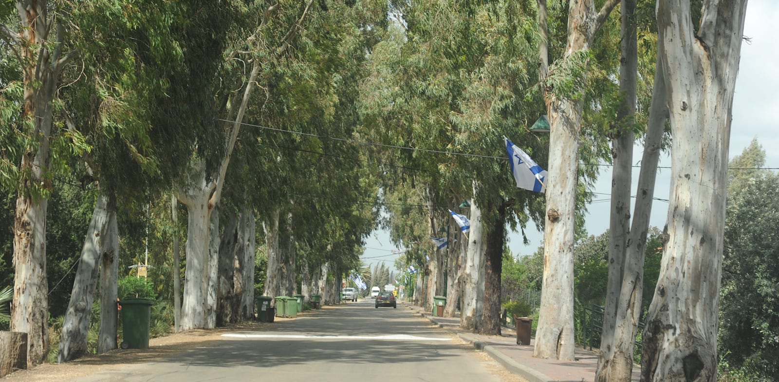 עמק חפר / צילום: איל יצהר