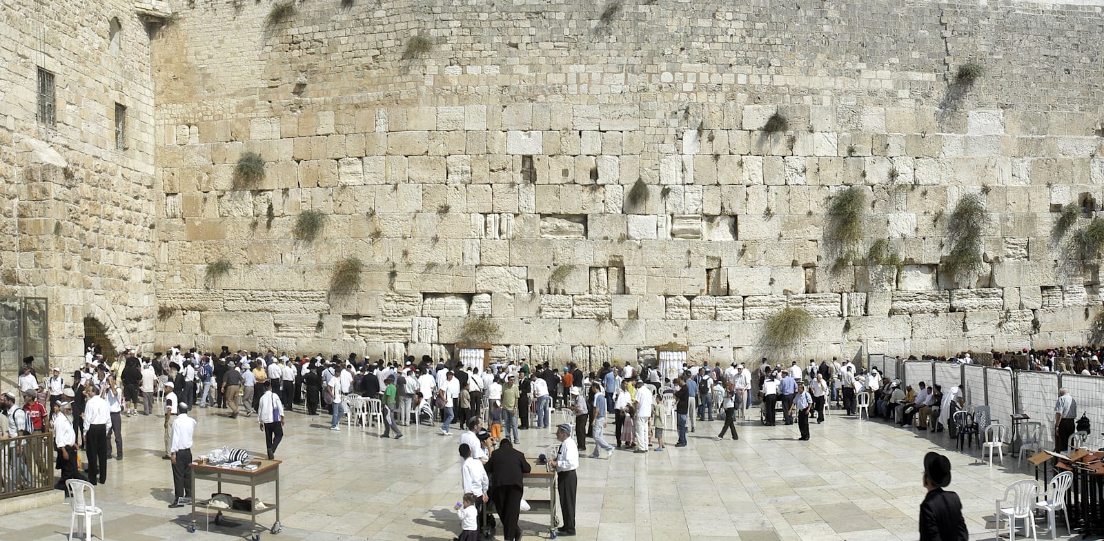 הכותל המערבי בצורת NFT? / צילום: אייל פישר