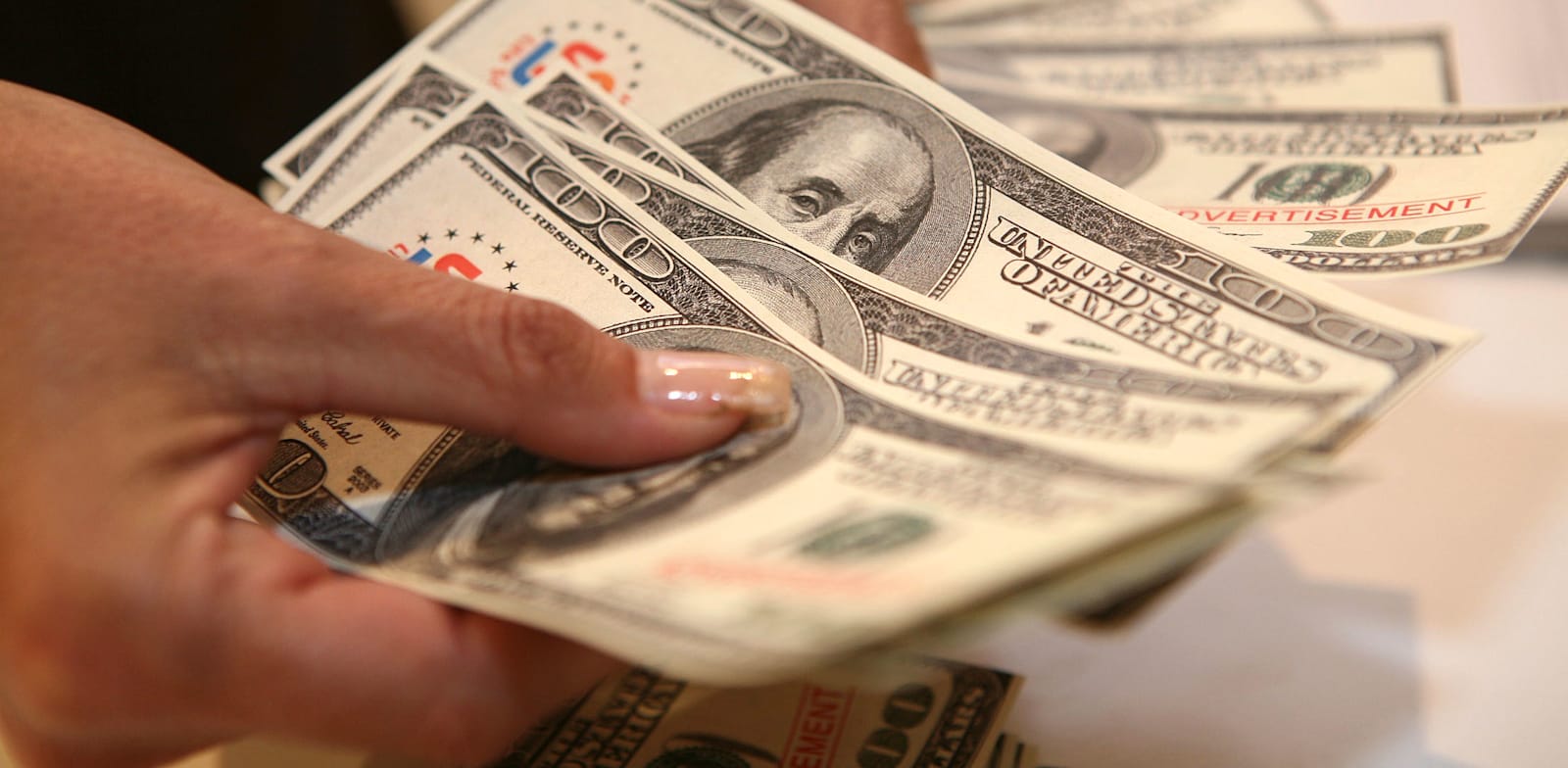 שטרות דולרים / צילום: עינת לברון