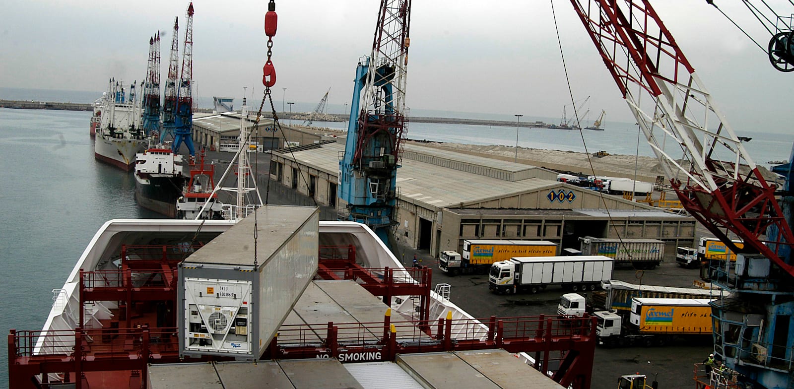 משלוח יצוא בנמל אשדוד / צילום: תמר מצפי