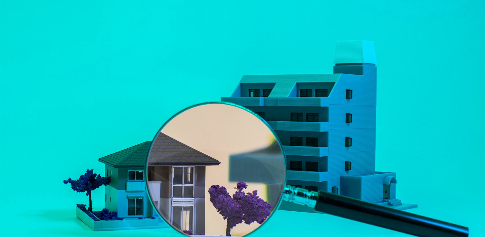 מדור נדלן / צילום: Shutterstock