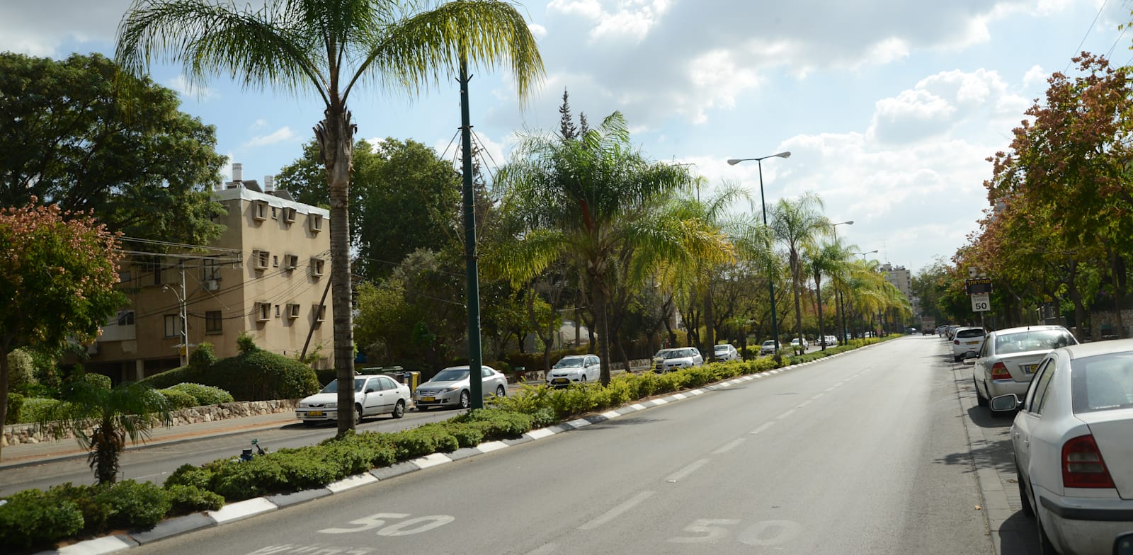 רחוב לוי אשכול בקריית אונו. לעיתוי הקנייה יש השפעה מכרעת / צילום: איל יצהר