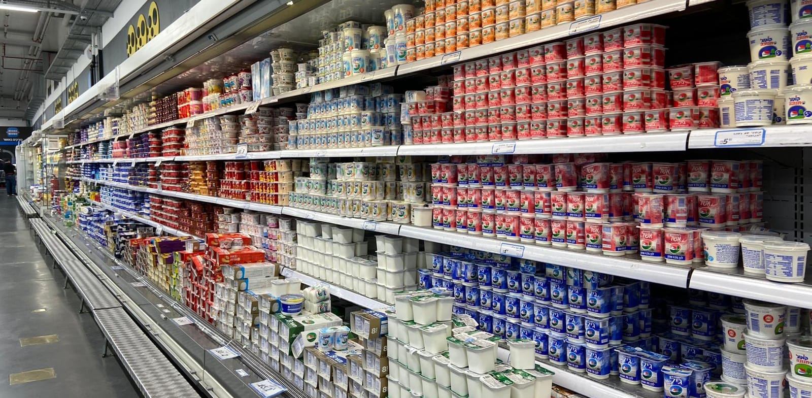 אושר עד/ צילום: אסף עיני