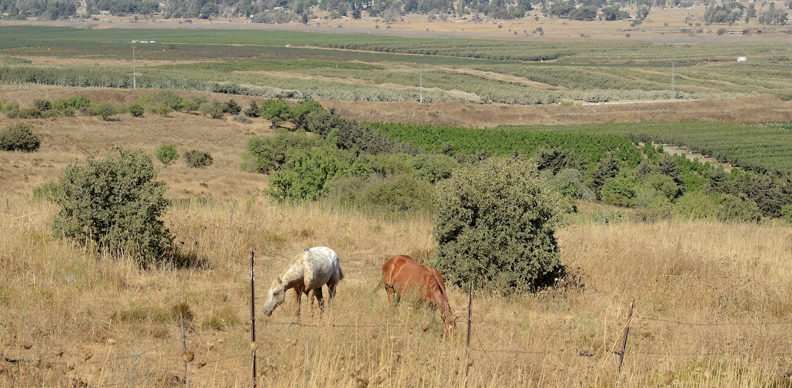 גבול ישראל סוריה קוניטרה ברקע / צילום: איל יצהר