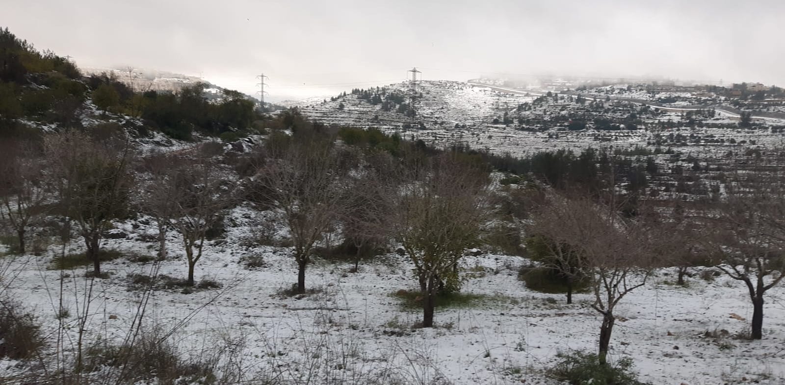 רכס בלבן מכוסה בשלג לאחר הסערה / צילום: דודו בן אור, רשות הטבע והגנים